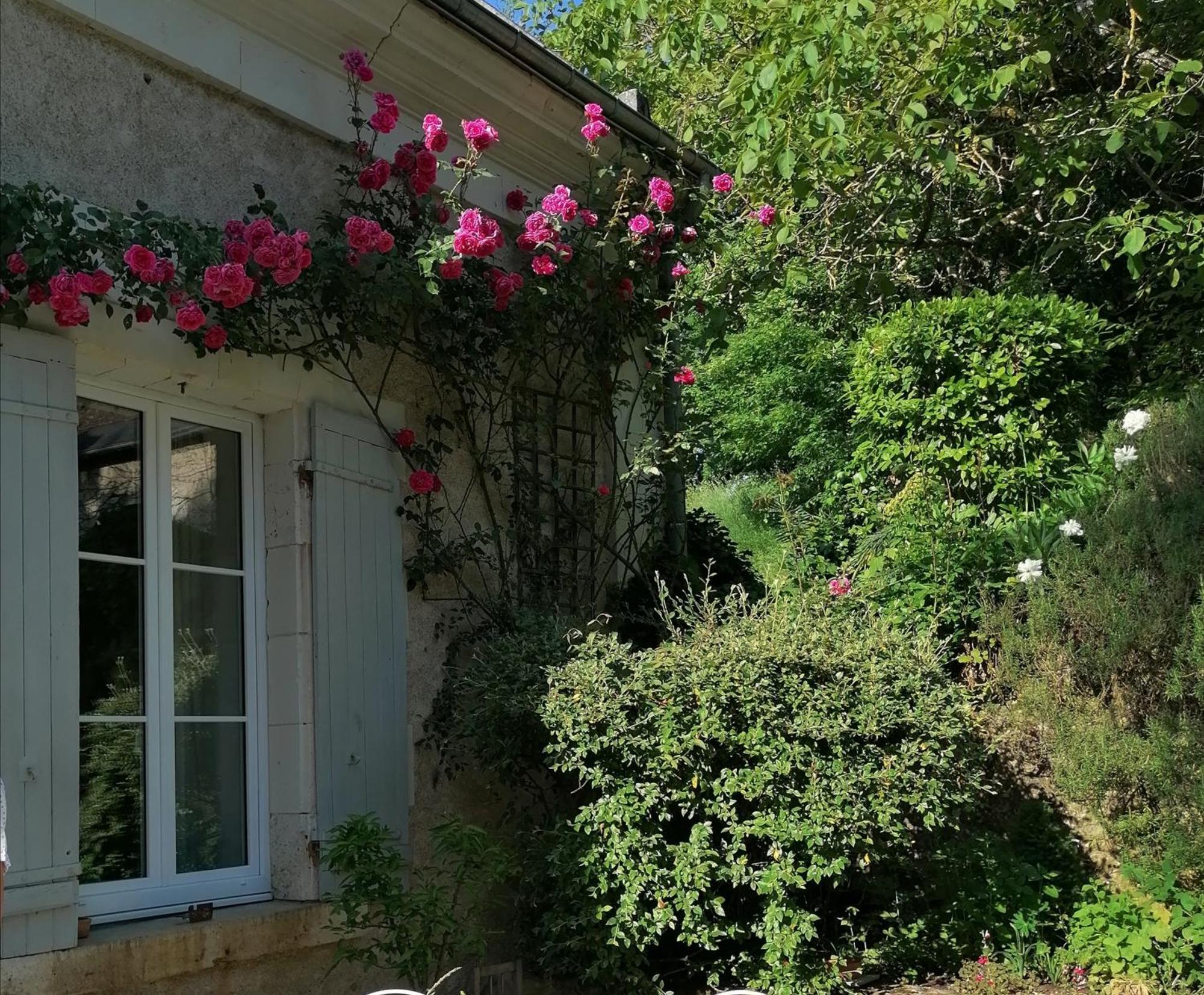 Le Moulin Du Mesnil Bed & Breakfast Saint-Georges-sur-Cher Dış mekan fotoğraf