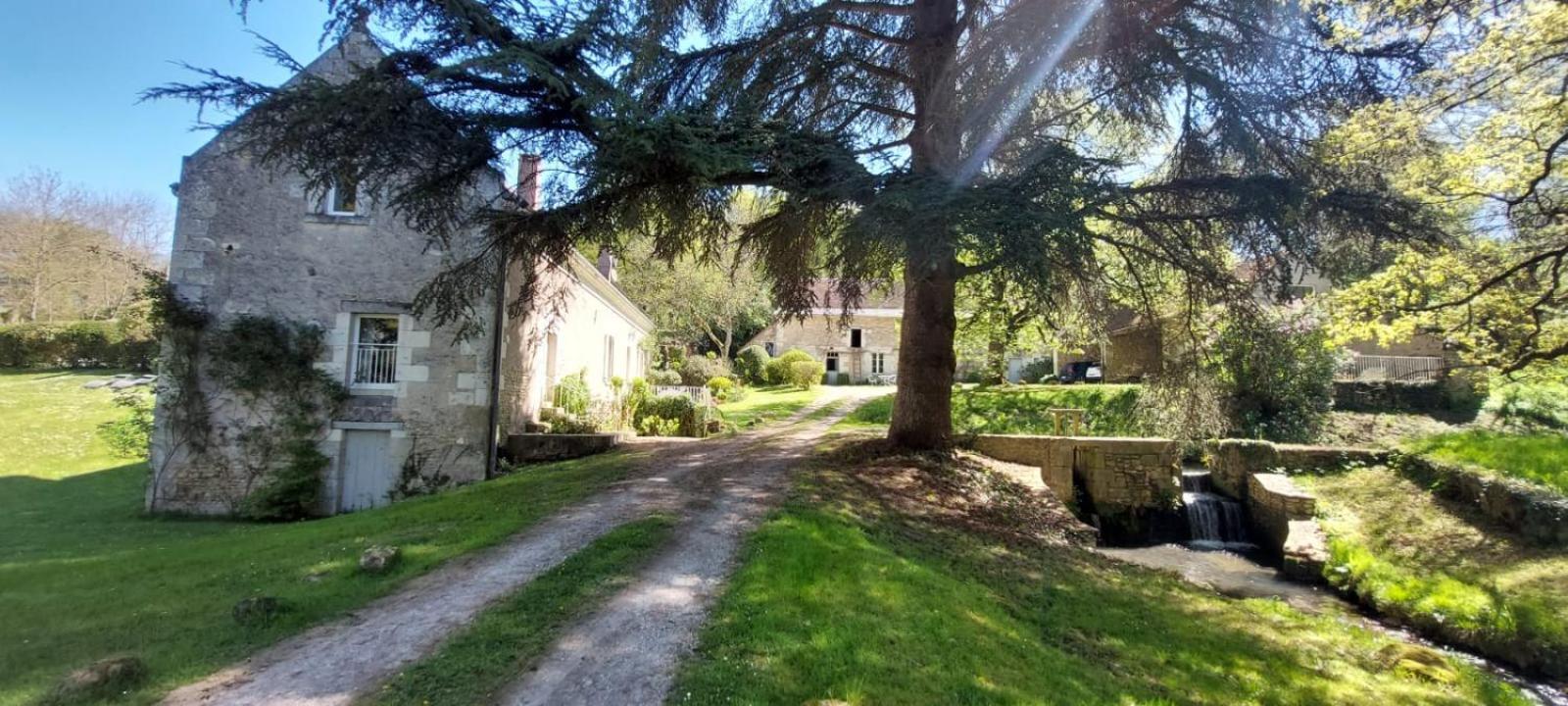 Le Moulin Du Mesnil Bed & Breakfast Saint-Georges-sur-Cher Dış mekan fotoğraf